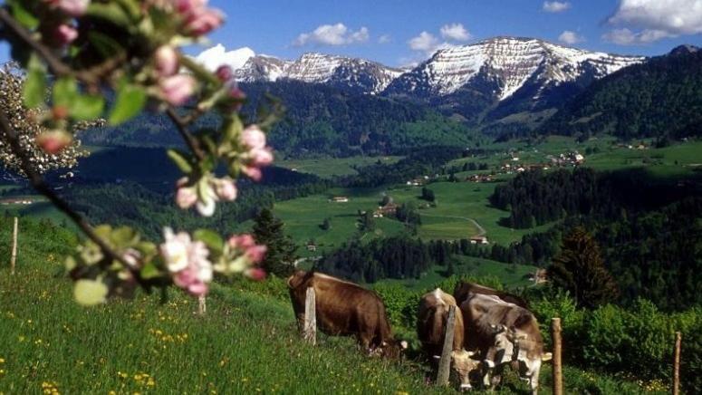 Fewo Alpenbrise, Oberstaufen Exterior photo